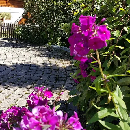 Bed & Breakfast Bergluft Lenk