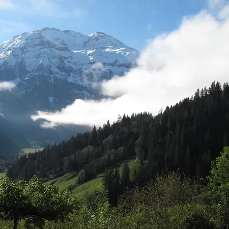 Bergluft 3* Lenk